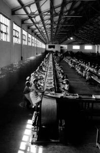 5-fabrica de coservas